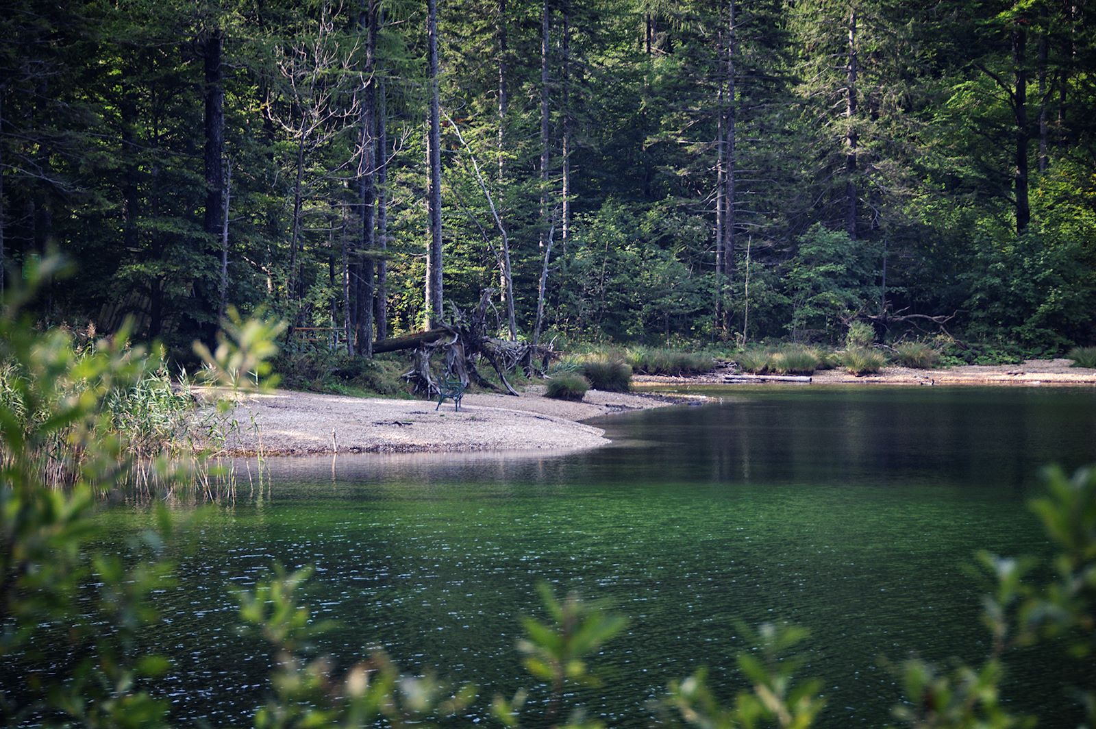 Blick auf schönen Kiesstrand am Eibensee