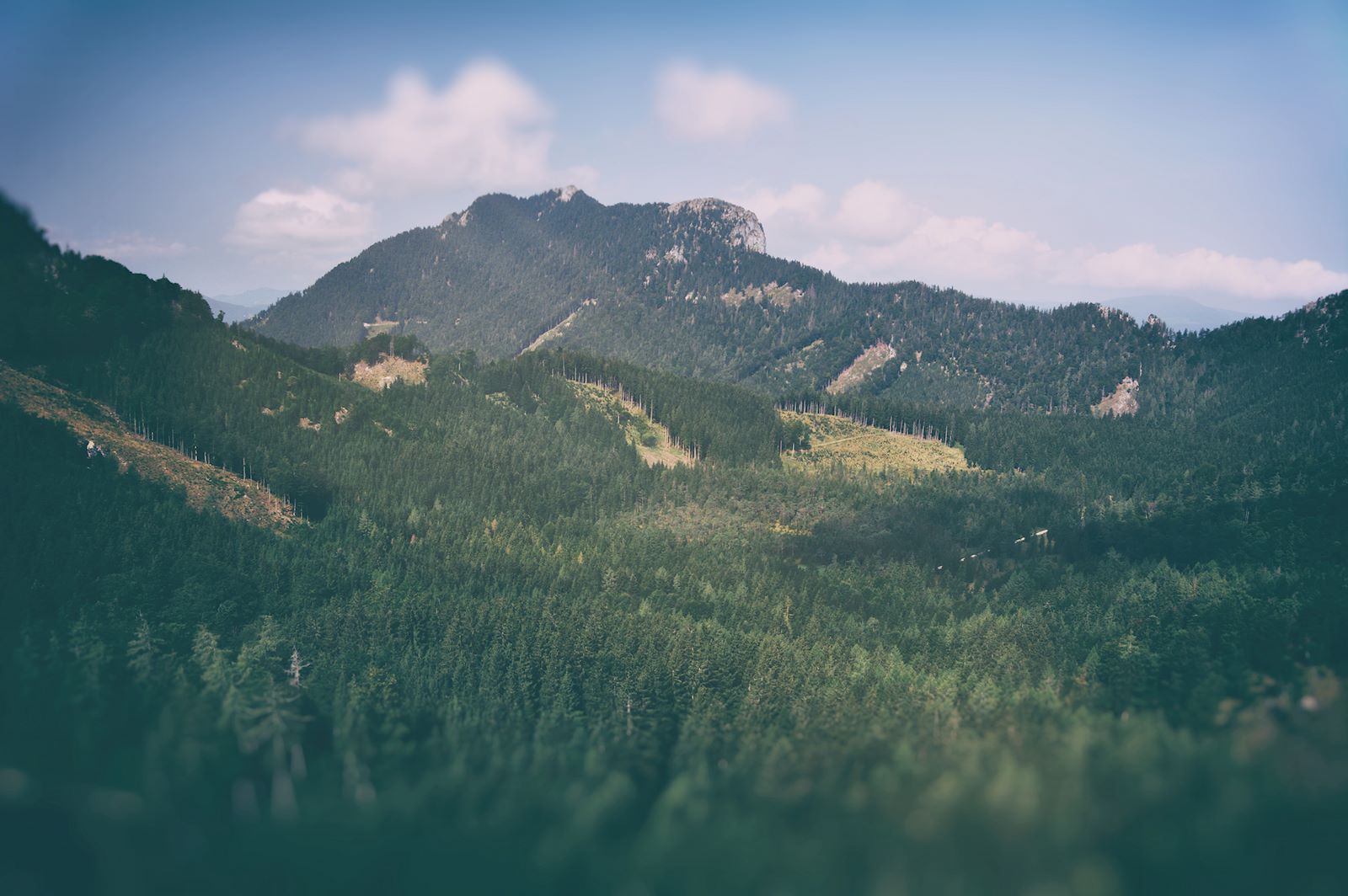 Blick auf Schober vom Marienköpfl aus