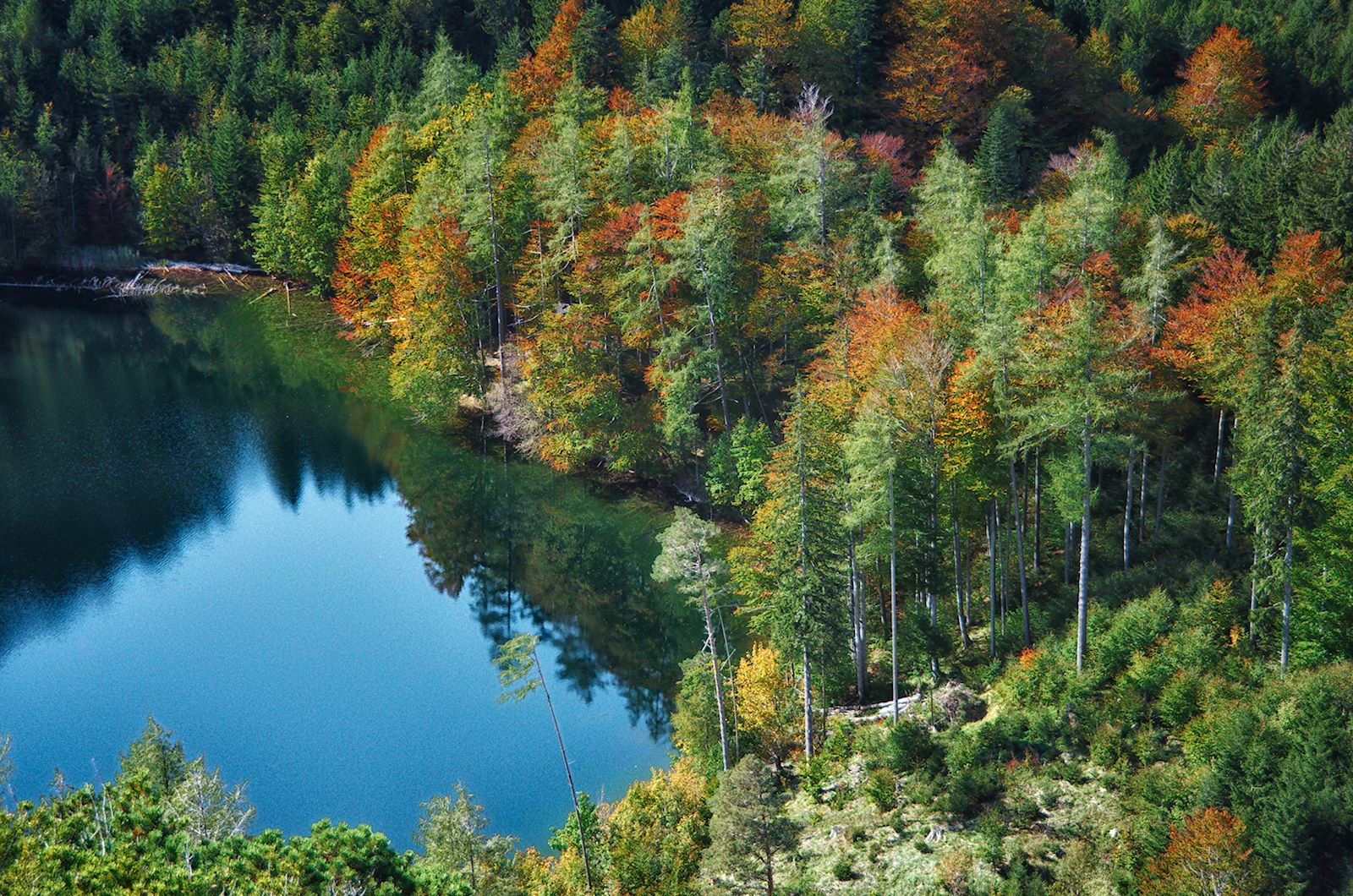 Blick auf Eibensee im Herbst
