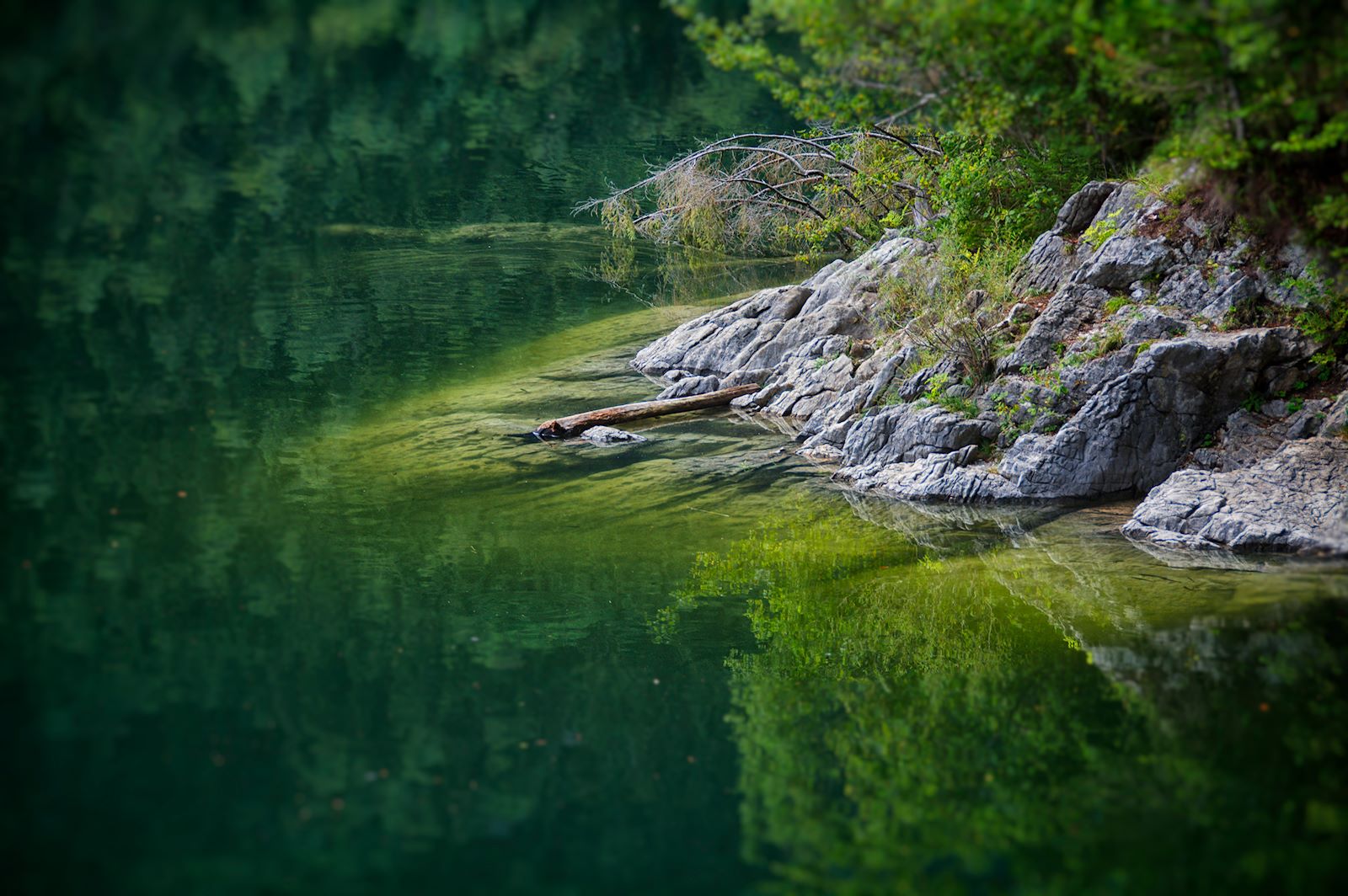 Felsvorsprünge ragen in den Schwarzensee