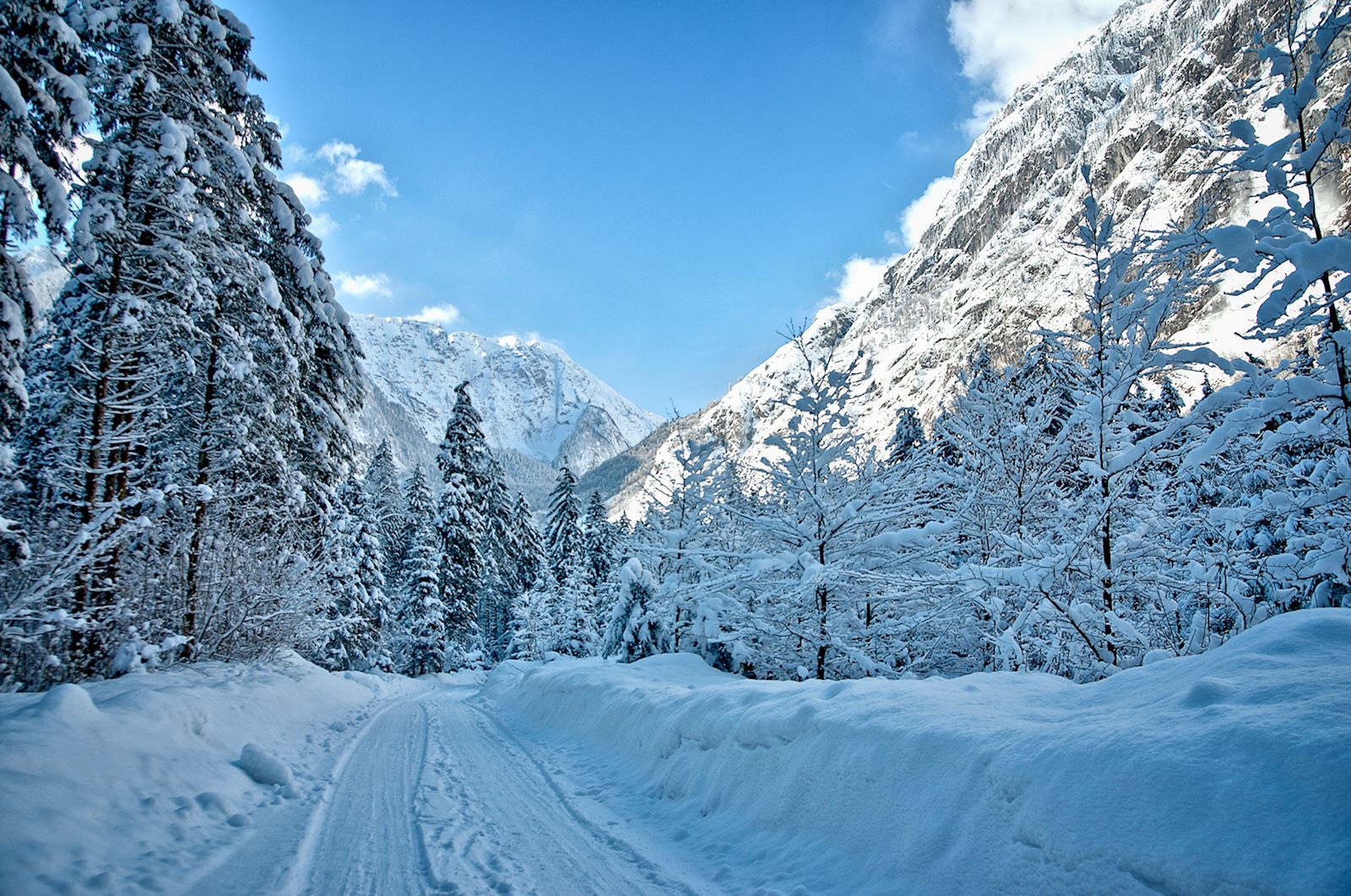Blick auf Schneibstein vom Bluntautal aus