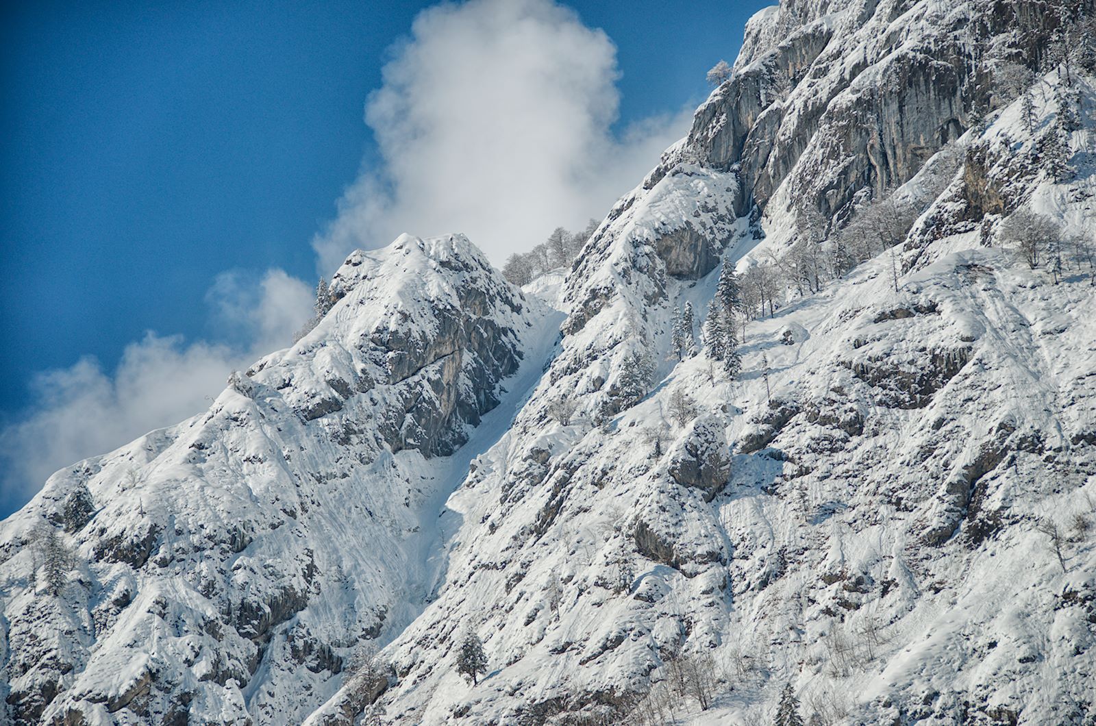 Blick auf die Felswand des Göll-Massivs aus dem Bluntautal