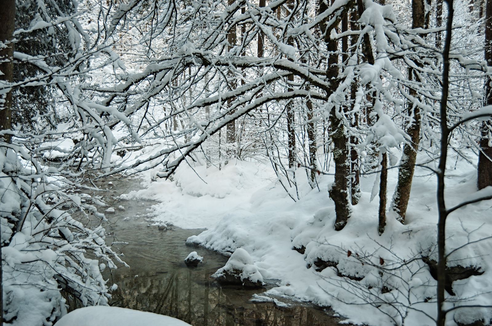 Torrenerbach im Bluntautal