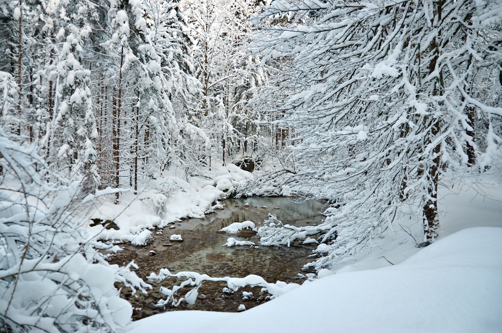 Torrenerbach (auch Torrenerache, Bluntaubach) im Bluntautal