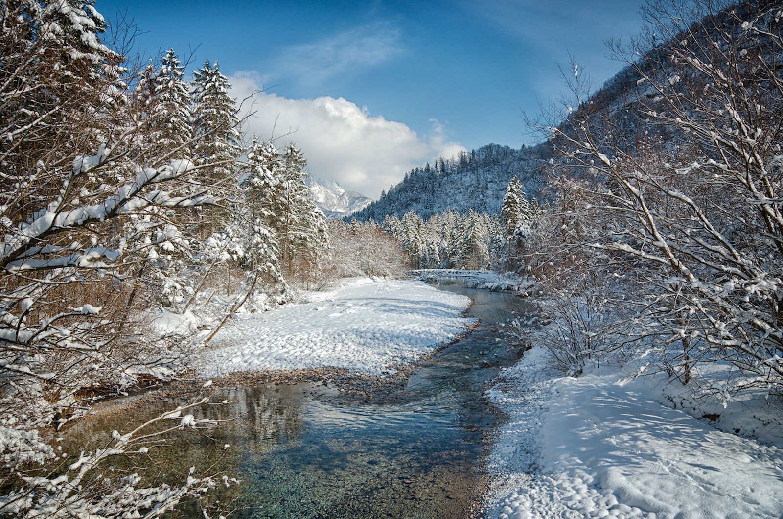 Naturbelassener Torrenerbach im Bluntautal
