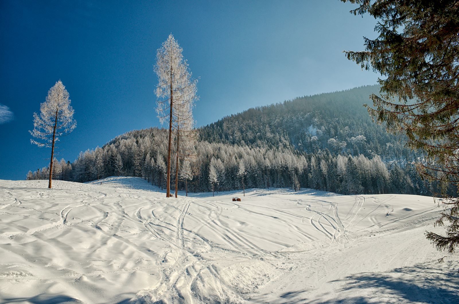 Winterlandschaft am Zwölferhorn