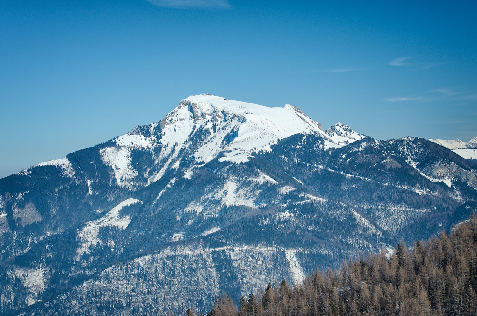 Blick auf Schafberg vom Zwölferhorn
