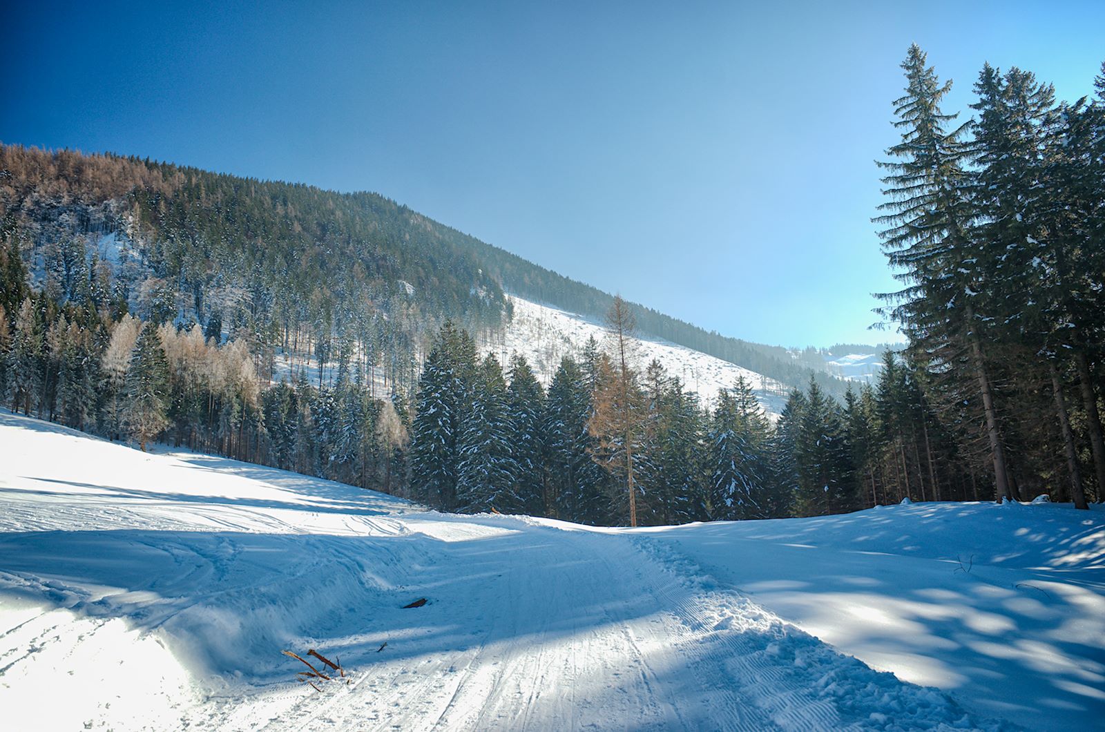 Blick auf Zwölferhorn
