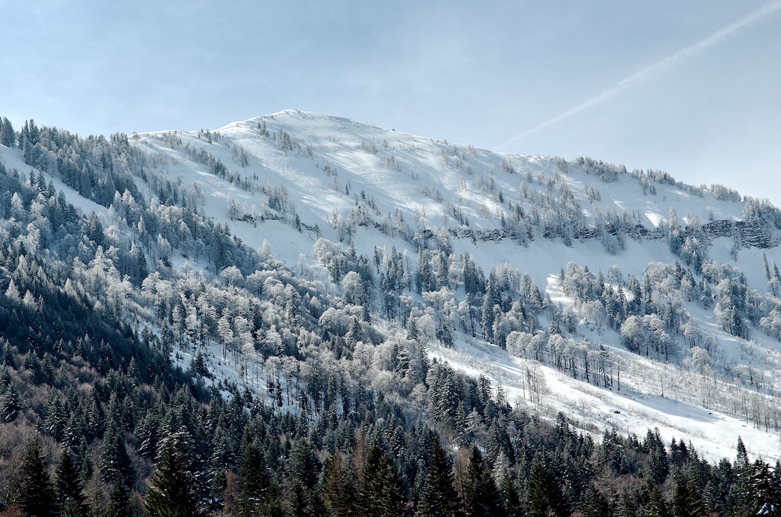 Blick auf den verschneiten Regenspitz von der Untertiefenbachalm am Weg zur Feichtensteinalm in Hintersee