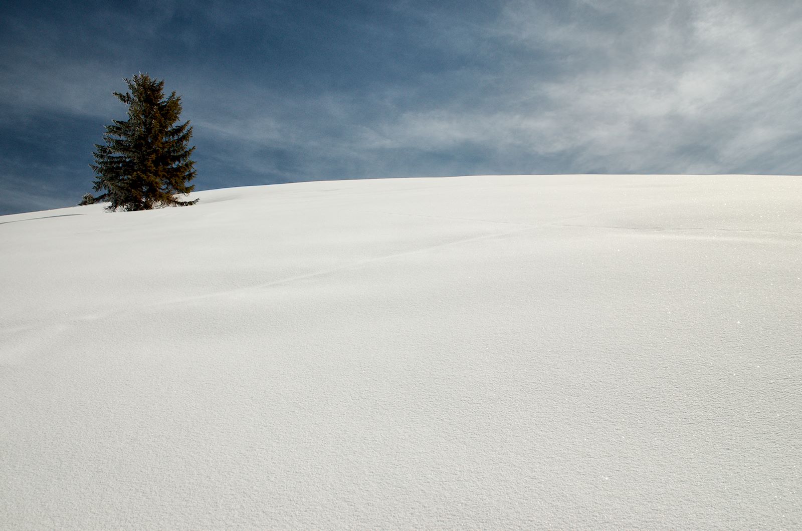 verschneite Landschaft auf der Feichtensteinalm in Hintersee