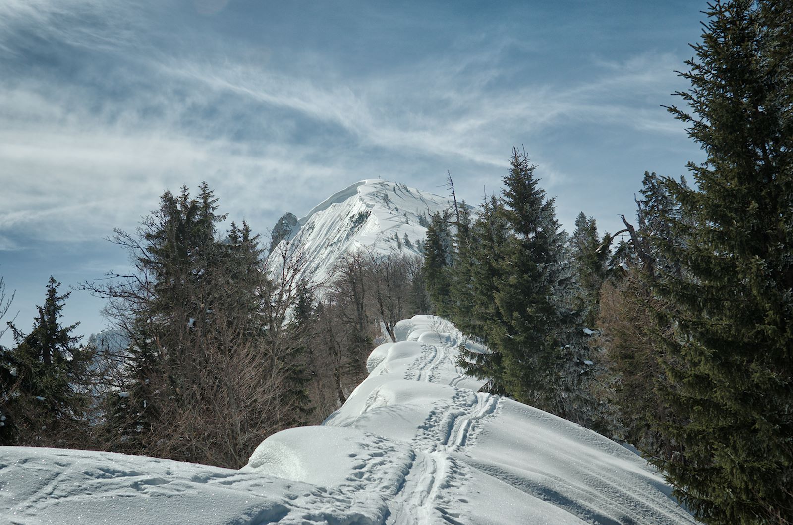 Der Regenspitz vom Gratweg aus