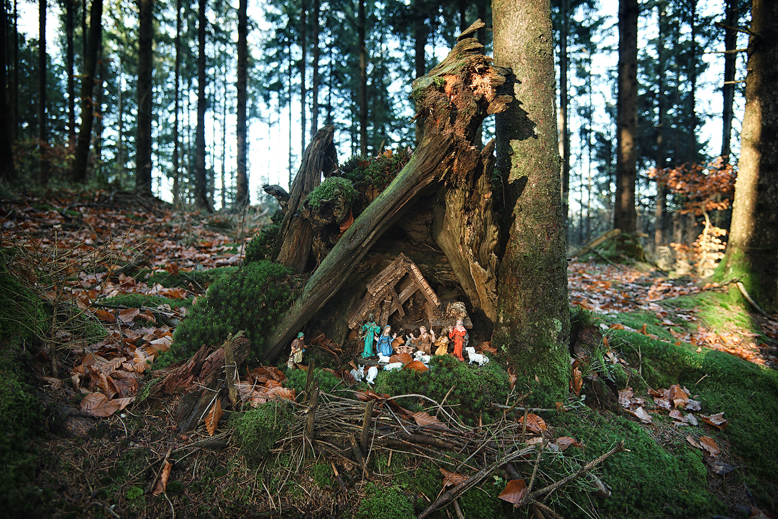 Weihnachtskrippe aus Naturmaterialien am Bibelweg in Friedburg
