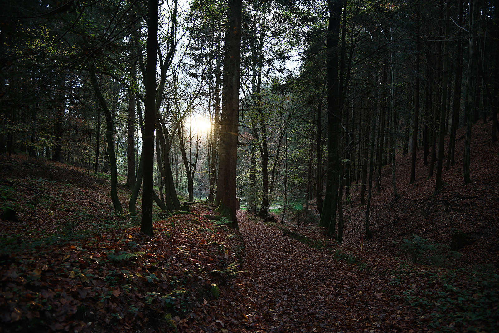 Die Sonne geht unter am Sagenweg in Friedburg