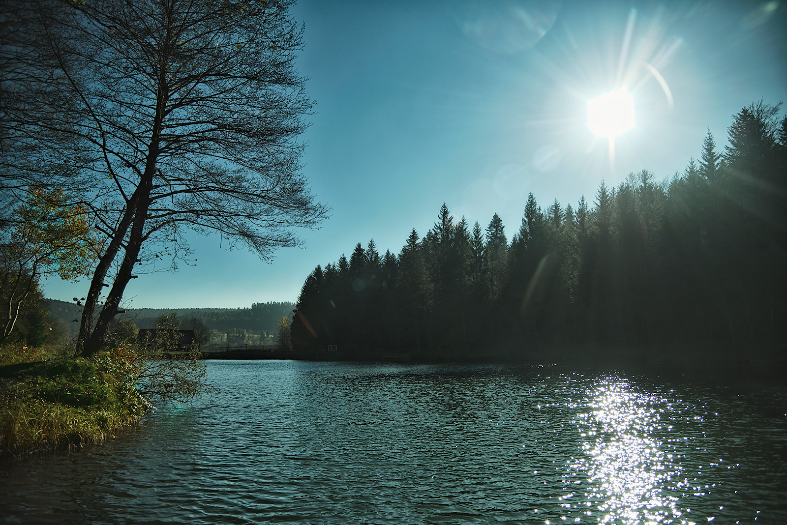 am Waldsee in Friedburg