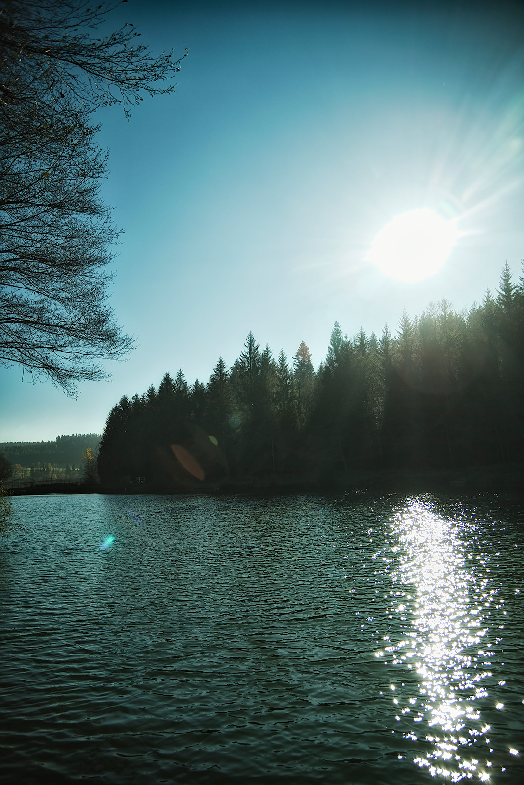 Wärmende Sonnenstrahlen im November am Waldsee in Friedburg