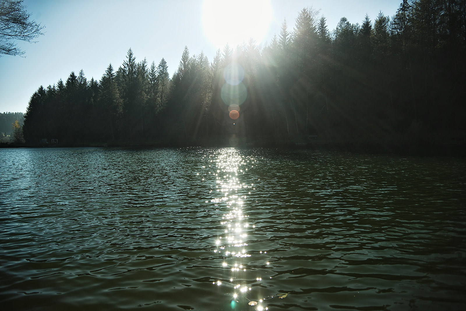 Die tiefstehende Novembersonne spiegelt sich im Waldsee in Friedburg 