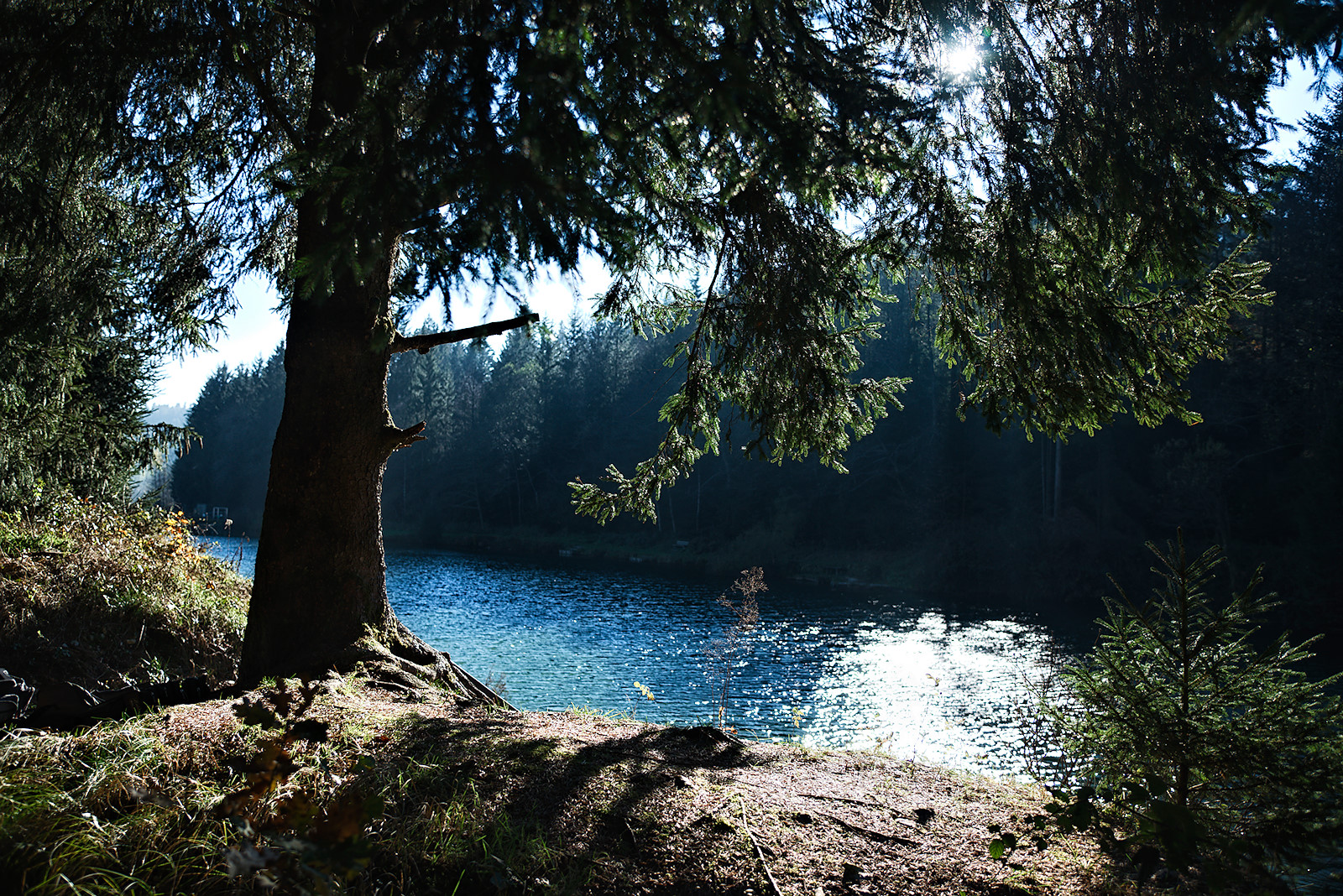 am Ostufer des Waldsees in Friedburg