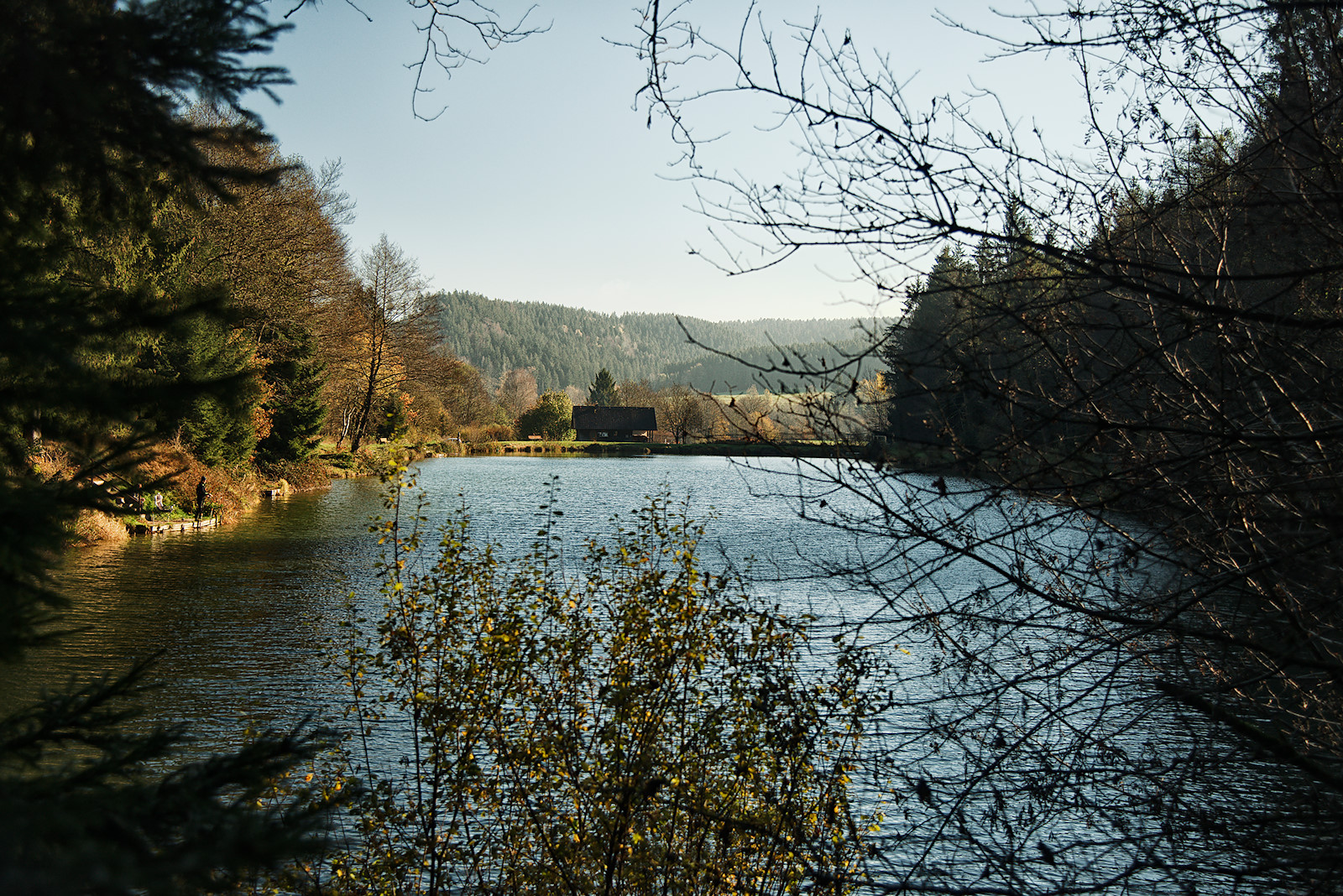 Blick von der Nordseite über den Waldsee in Friedburg