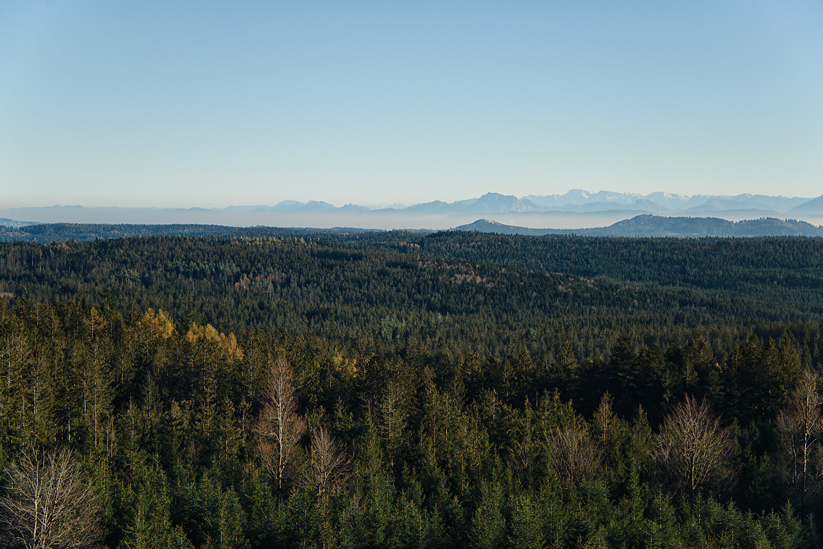 Blick von der Kobernaußerwarte auf die Alpen