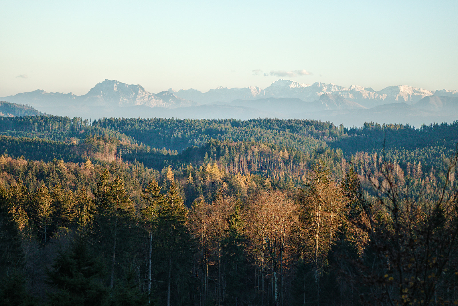 Blick auf die Alpen von der Alten Riederstraße im Kobernaußerwald