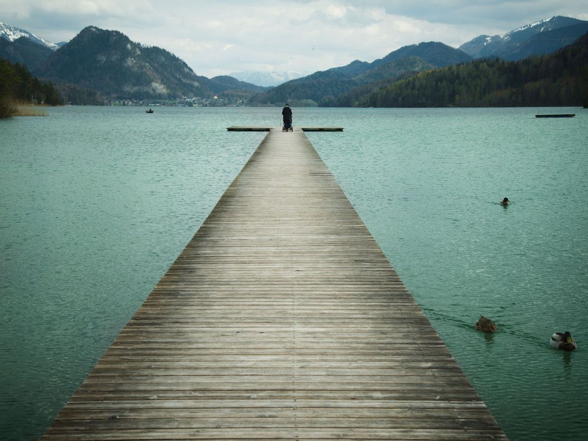 Durch das Naturschutzgebiet Fuschlseemoor – Kinderwagentouren #1