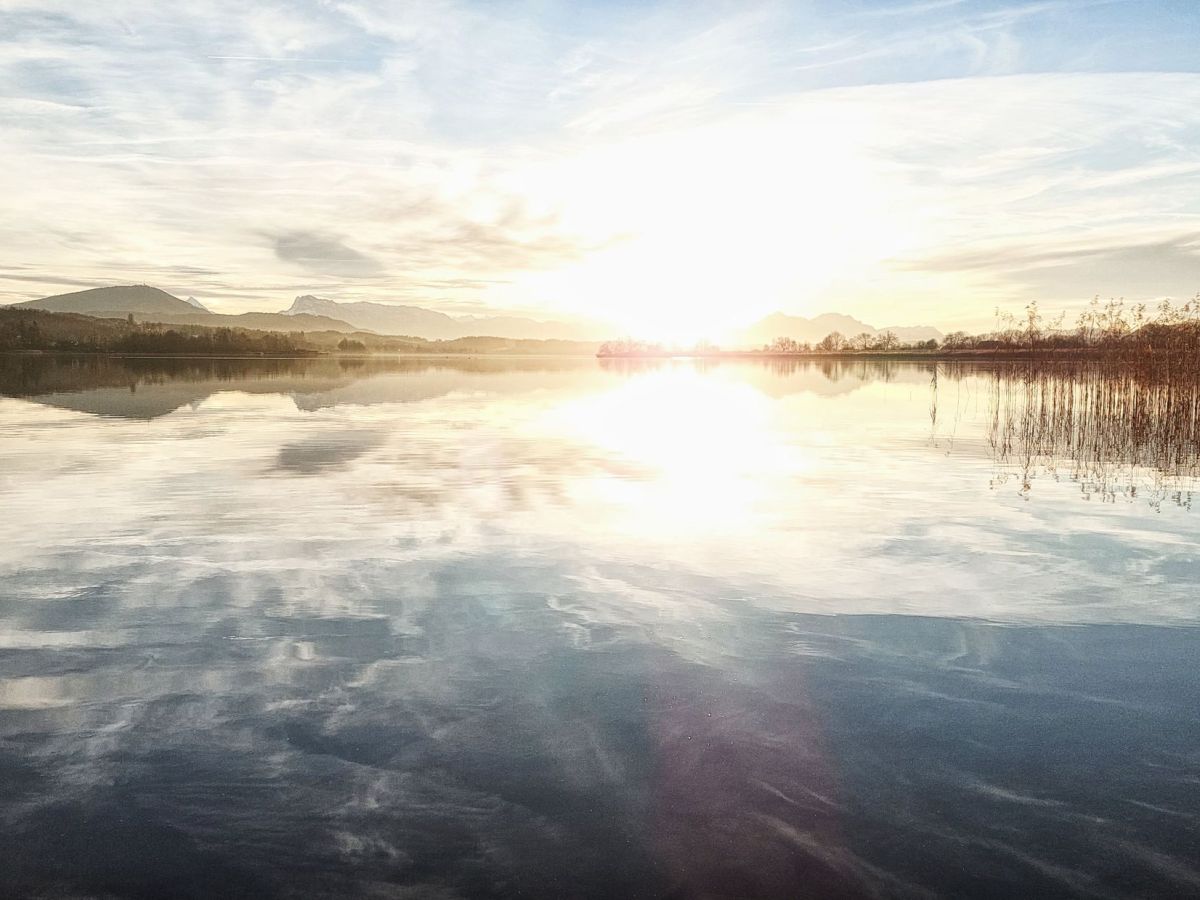 Von der Wallersee-Ostbucht zum Wenger Moor – Kinderwagentouren #6