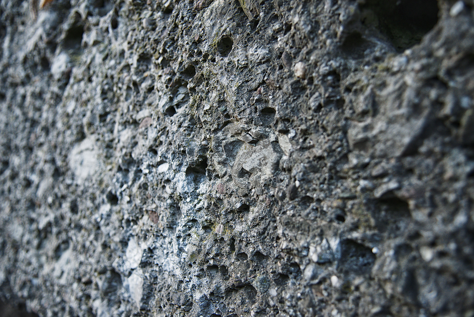 Bild eines Konglomeratgesteins am Mönchsberg