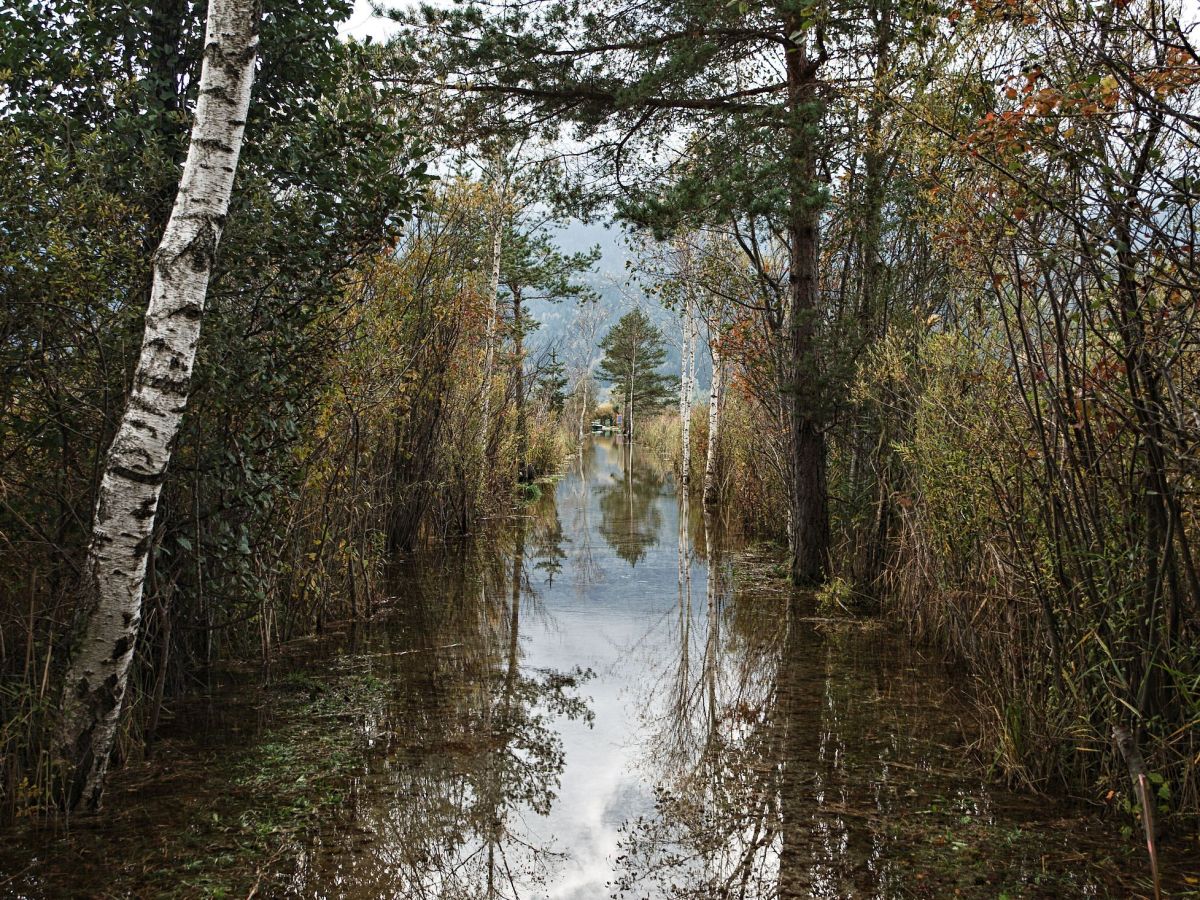 Hochwasser – Naturbetrachtungen #4