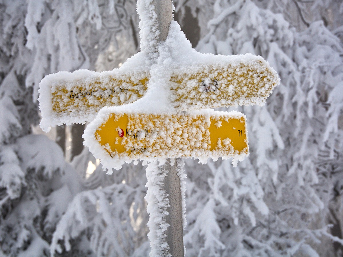 Ein Rückblick auf das Jahr 2024