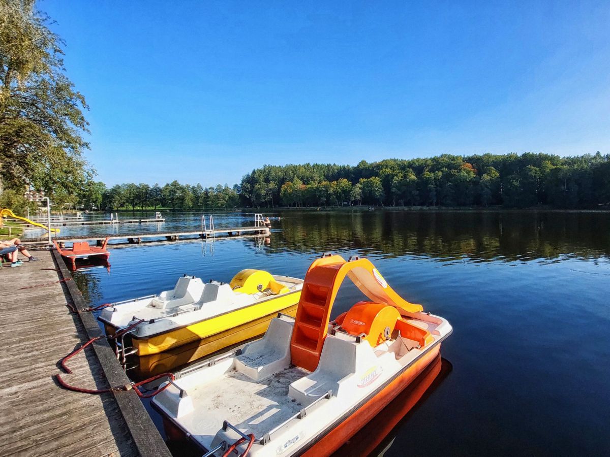 Rund um den Holzöstersee – Kinderwagentouren #8