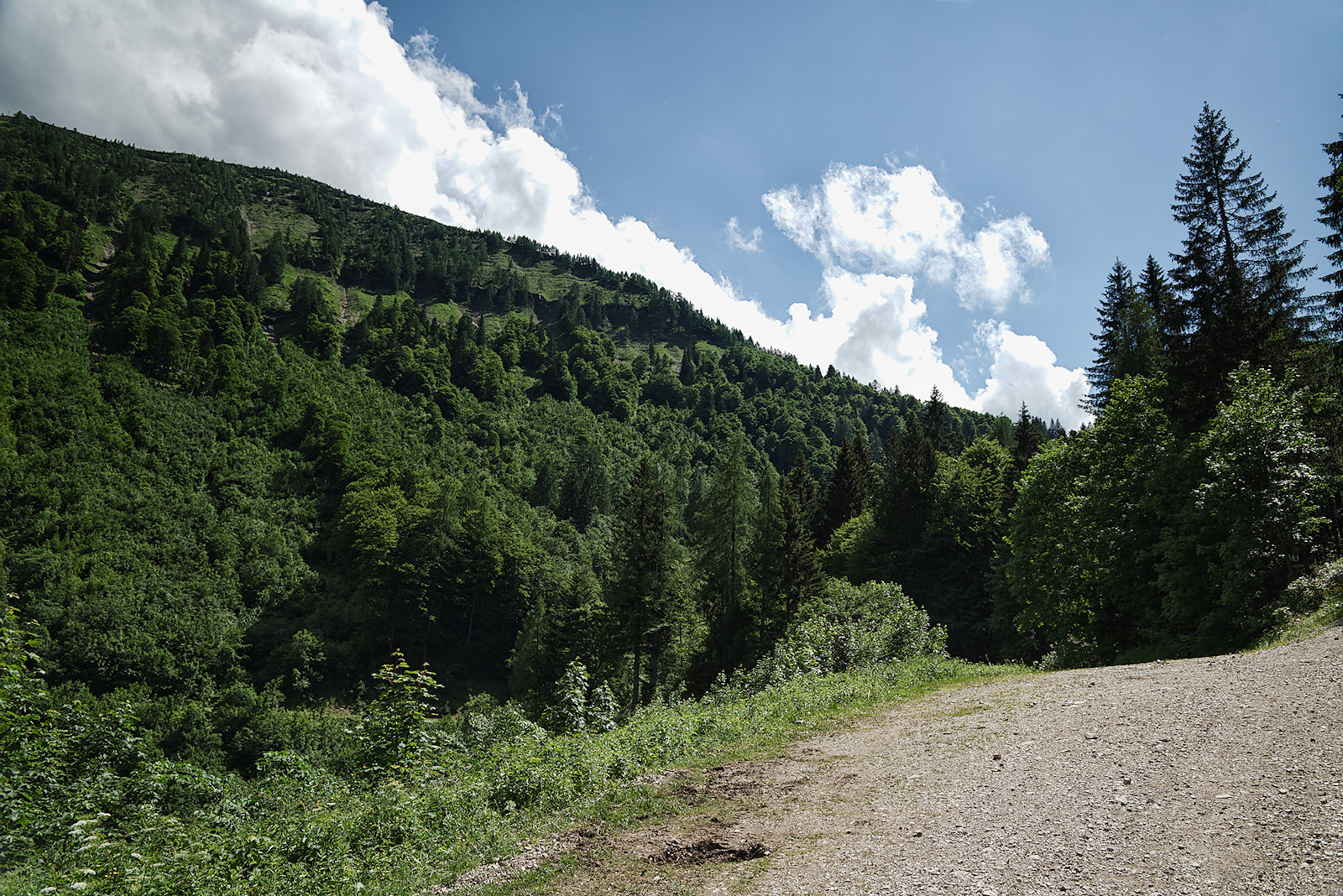 Blick in den Talschluss mit Nordseite des Regenspitzes