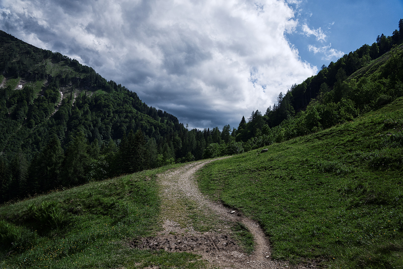 Blick auf den Sattel, dahinter befindet sich die Bergalm