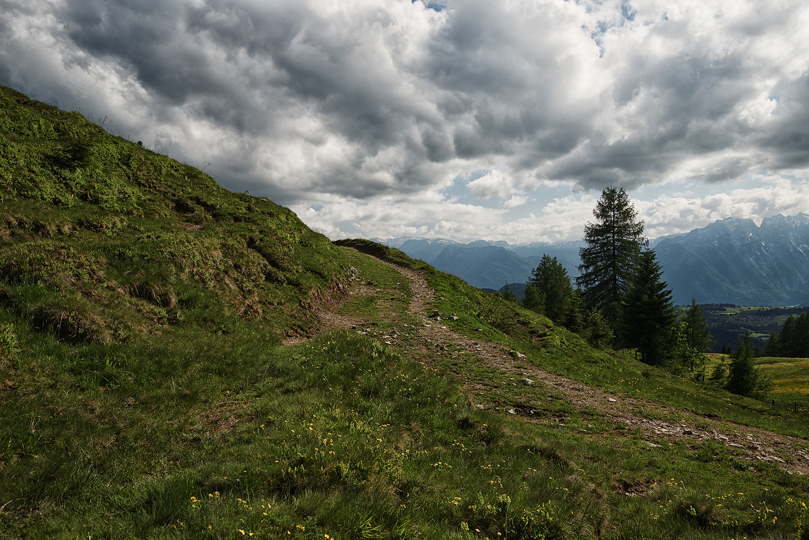 Almweg hinüber zur Storchenalm