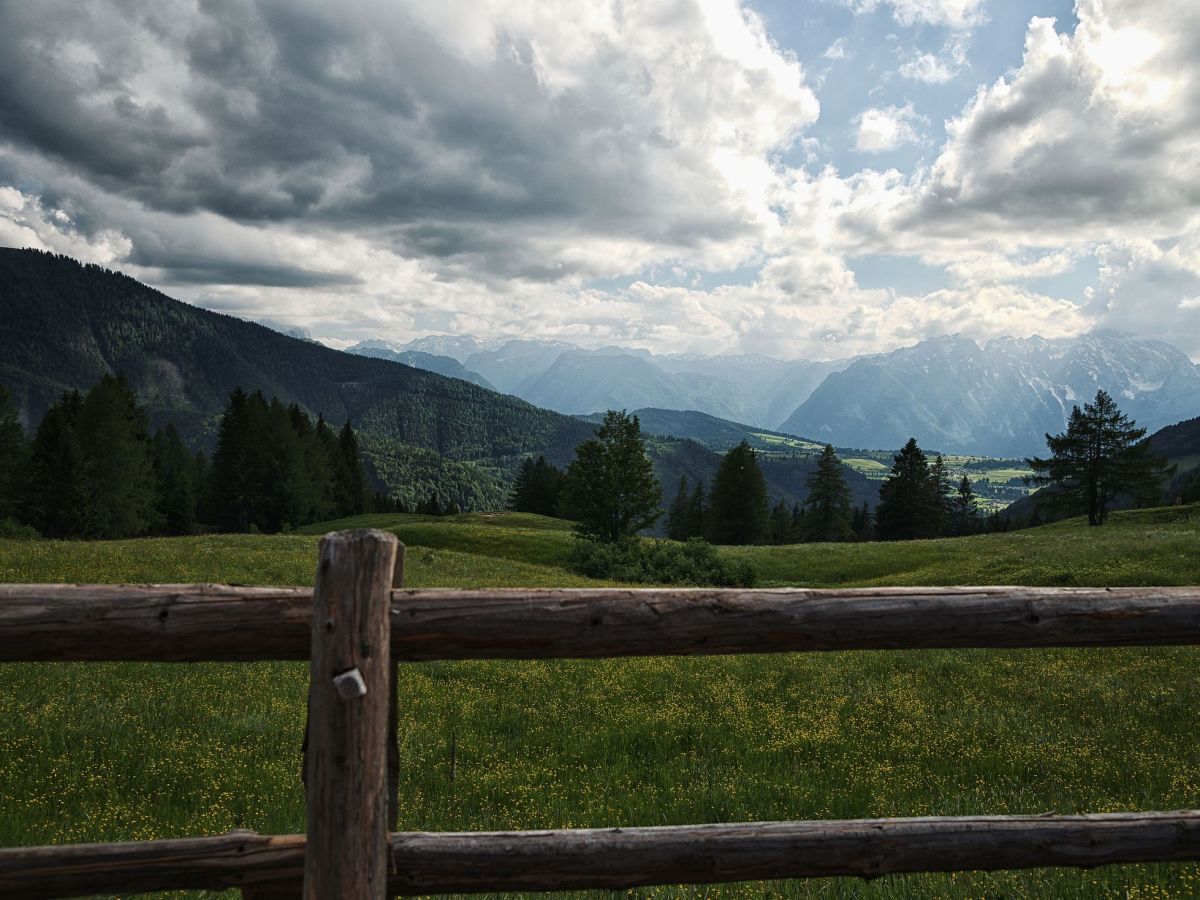 Von Hintersee auf die Bergalm – Almwandern im Salzburger Land