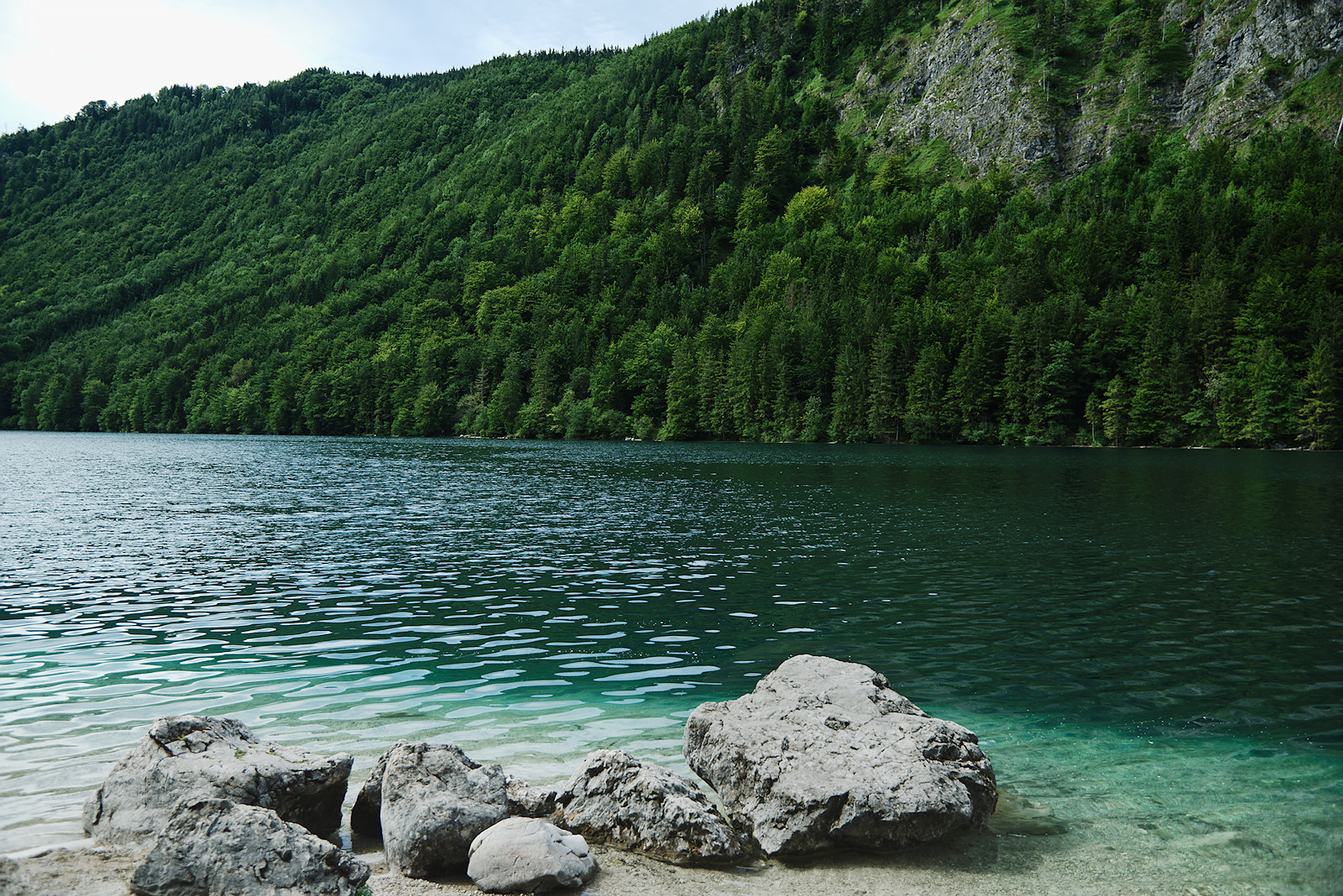 Felsblöcke am Südufer des Vorderen Langbathsees