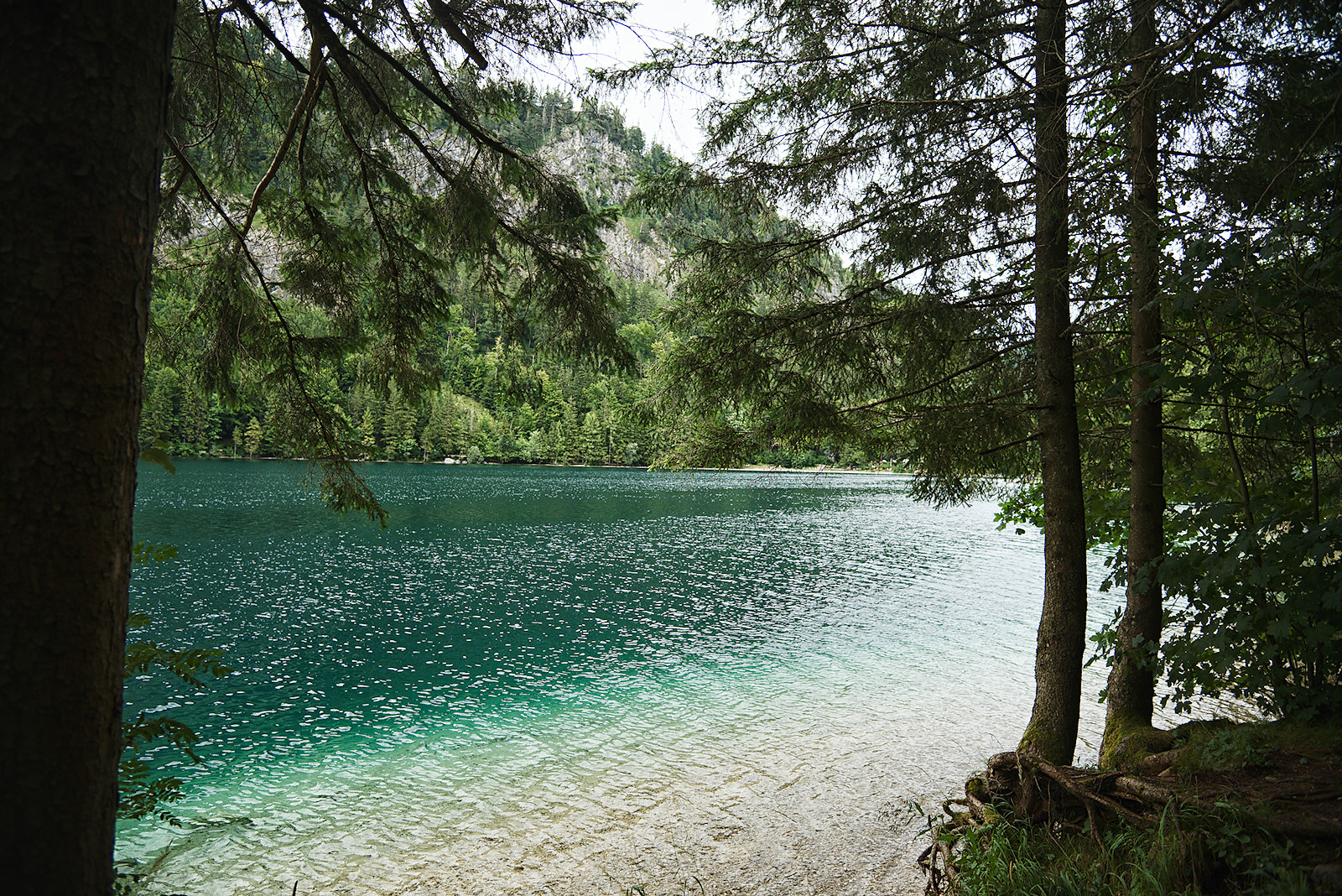 Vorderer Langbathsee vom Südufer aus