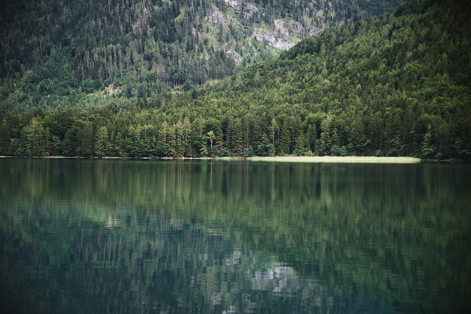 Zoom auf Südufer des Vorderen Langbathsees