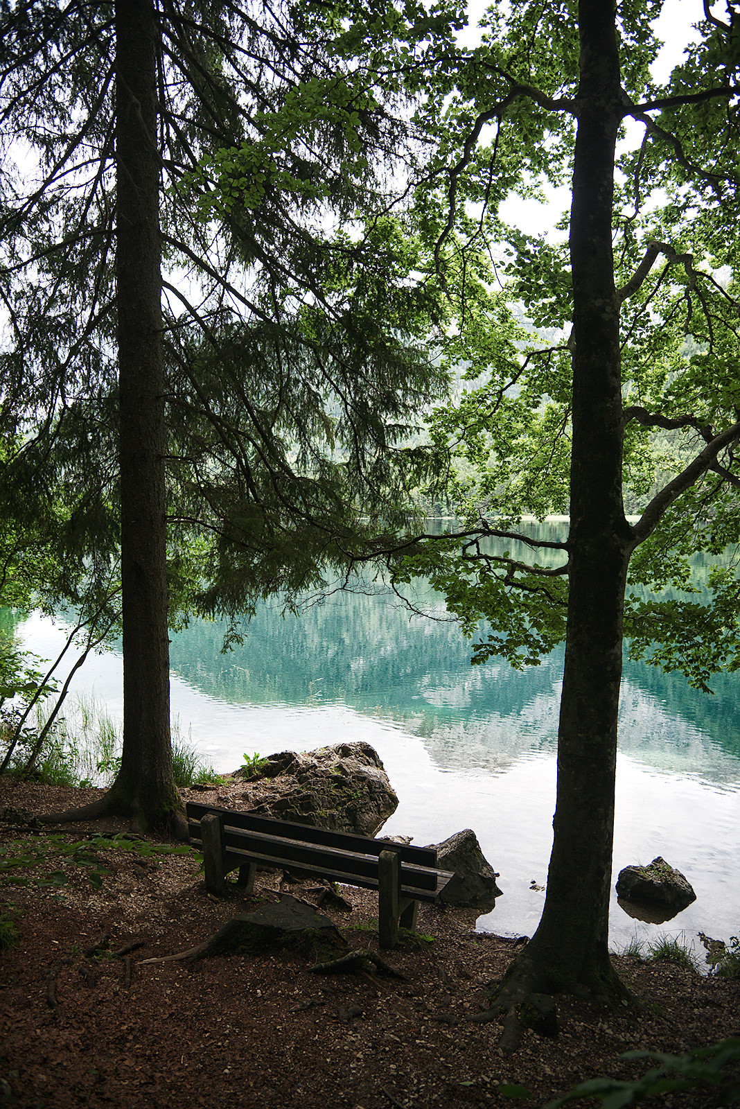 Schattige Ufer am Vorderen Langbathsee