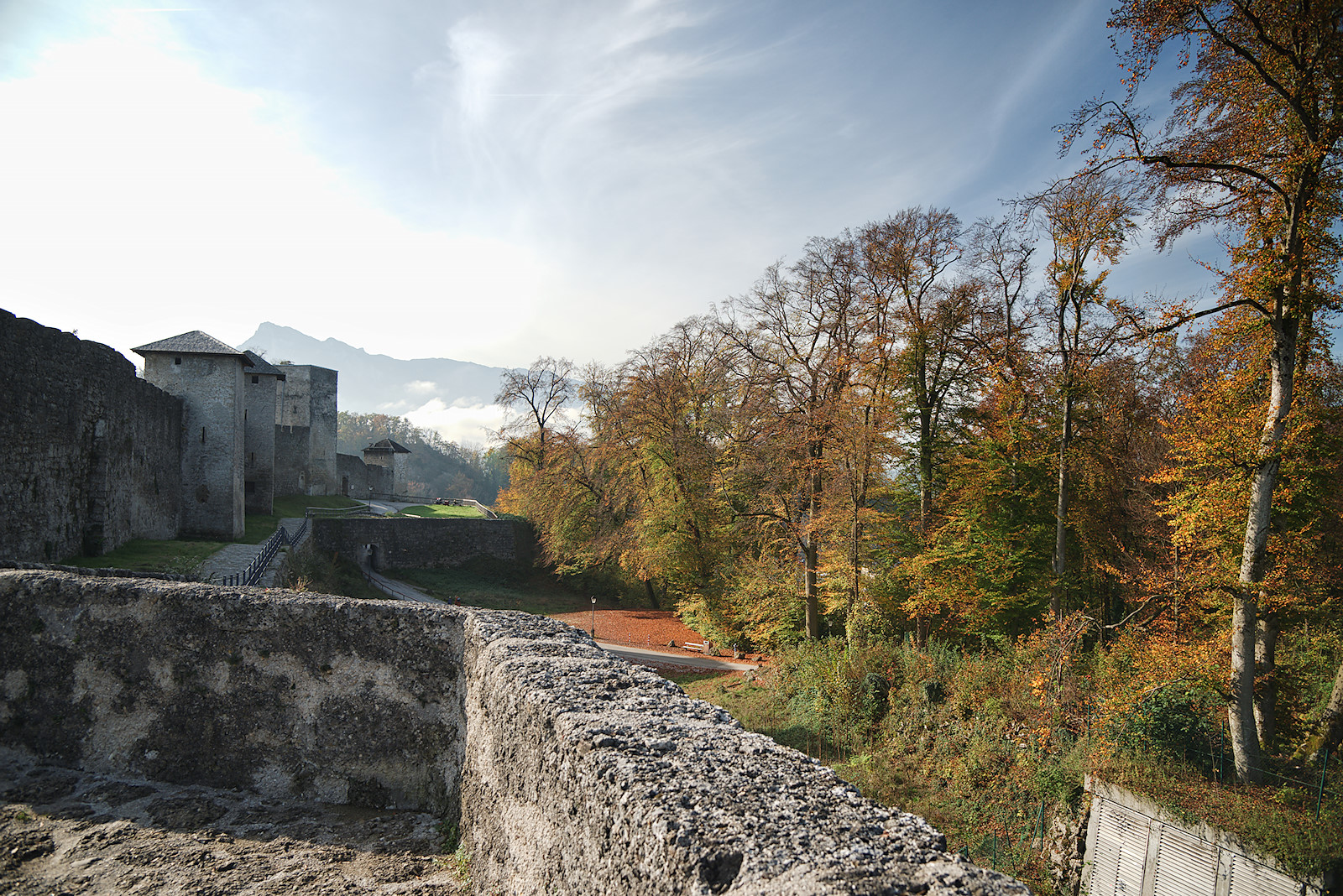 Blick auf den herbstlichen Wald westlich der Bürgerwehr