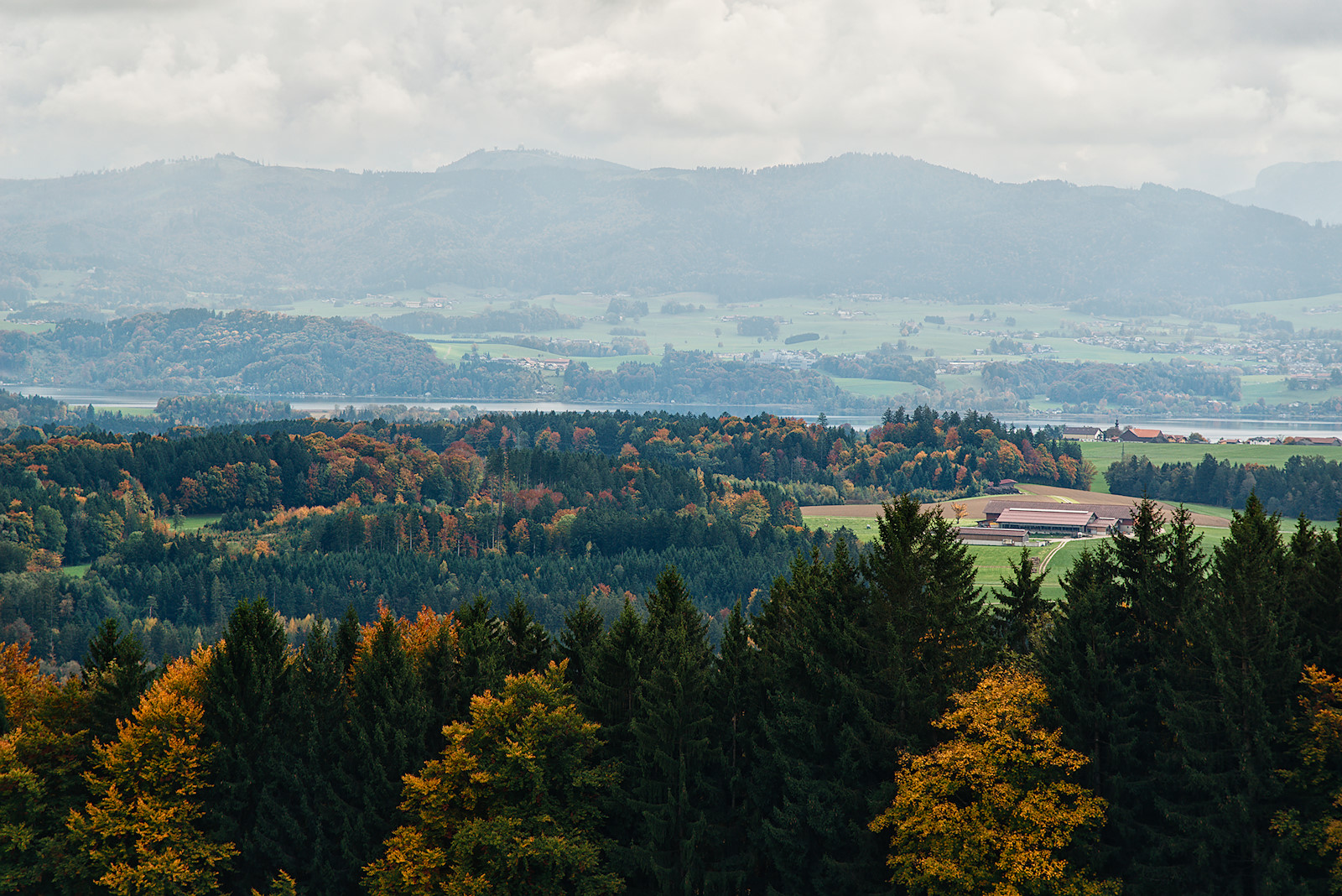 Blick vom Buchberg auf den Wallersee im Herbst