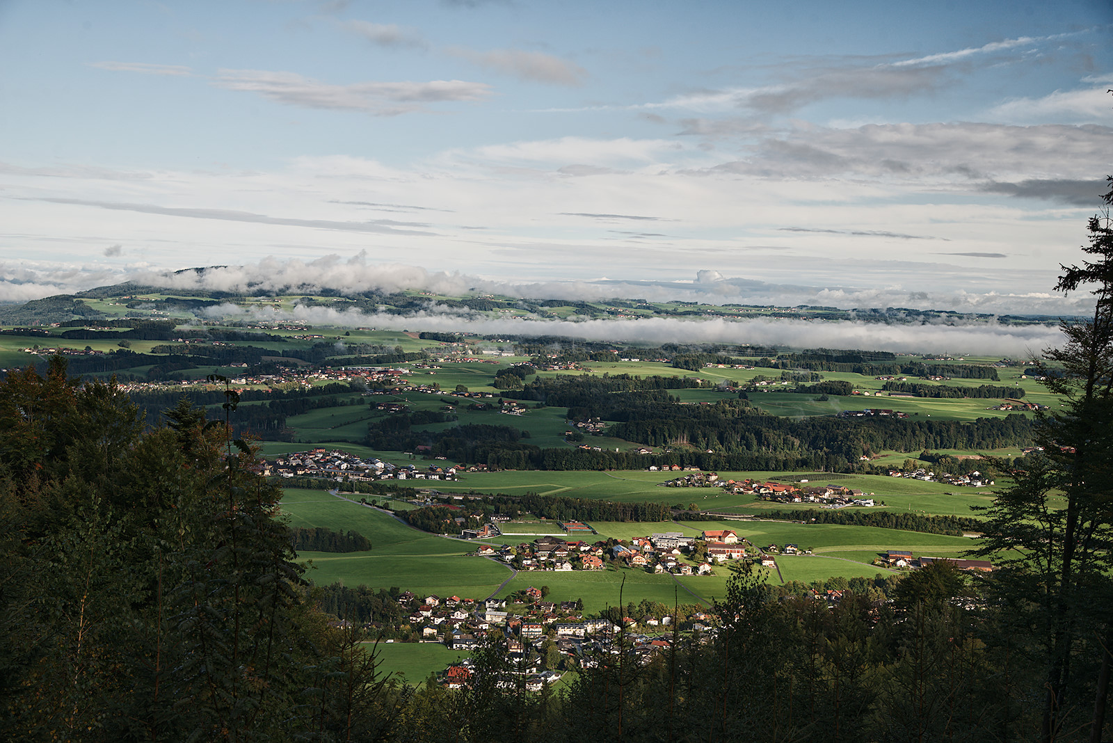Blick vom Heuberg auf den Haunsberg, dessen Gipfel im Nebel steckt
