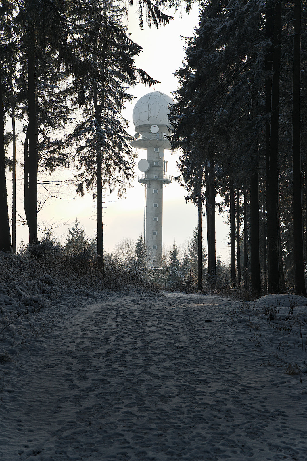 Radarturm der Austro Control zwischen den Bäumen am Haunsberg