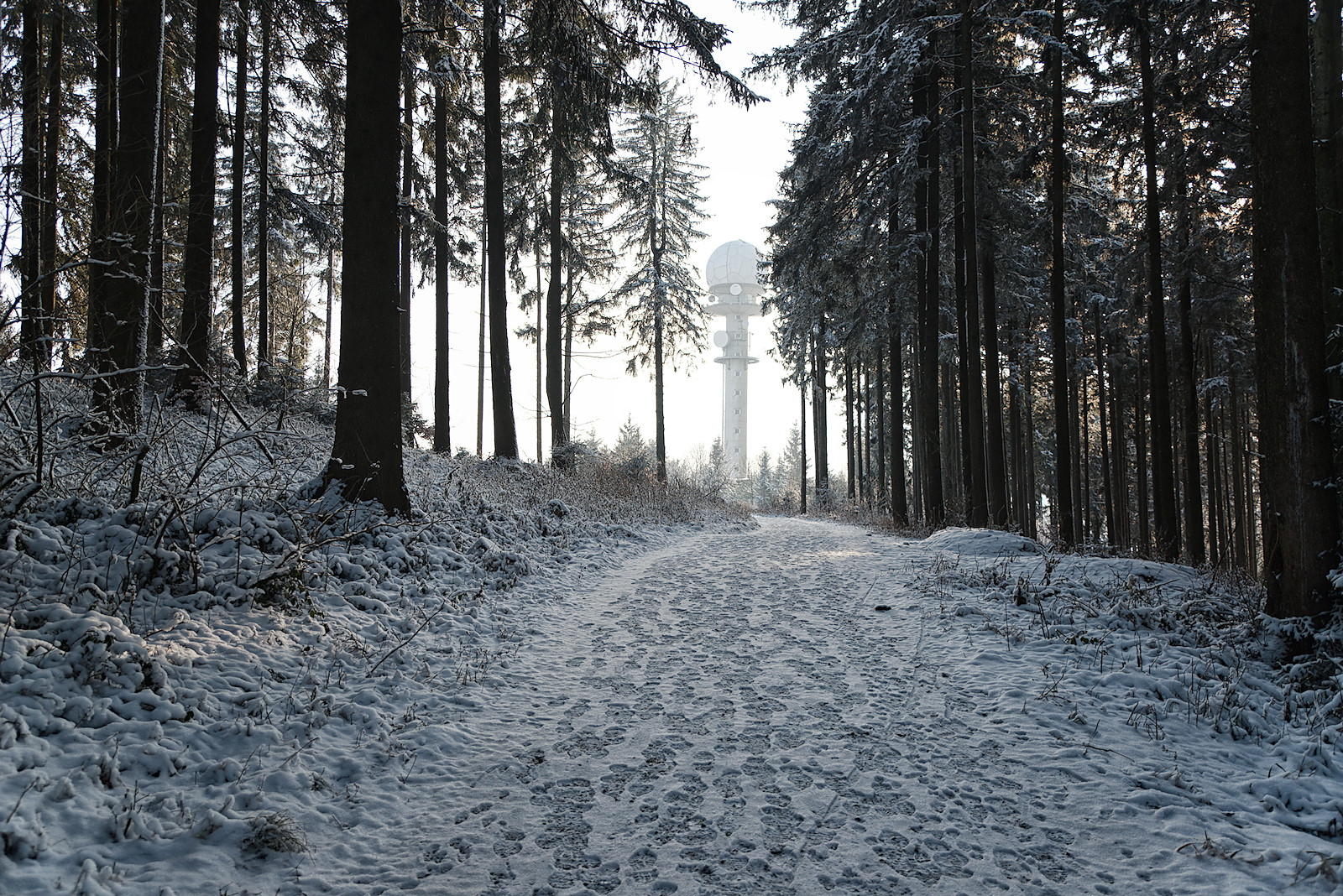 Der Radarturm der Austro Control am Haunsberg kommt zwischen den Bäumen in Sicht