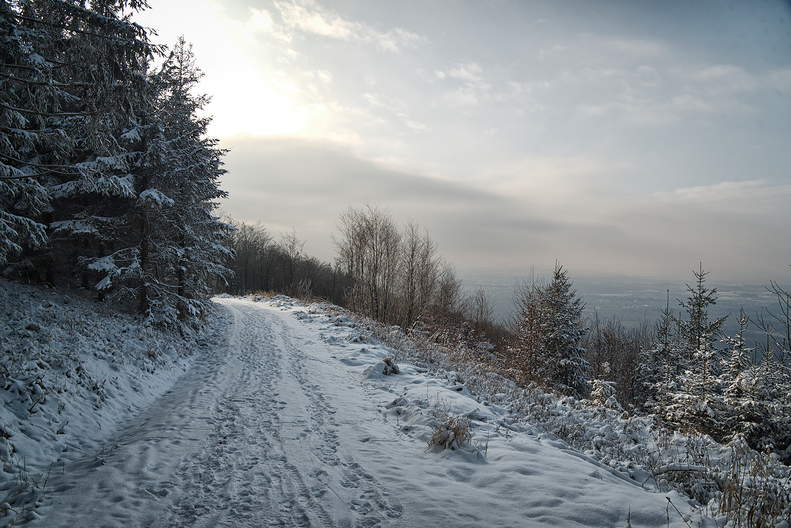 unterwegs am Haunsberg Panoramaweg im Winter