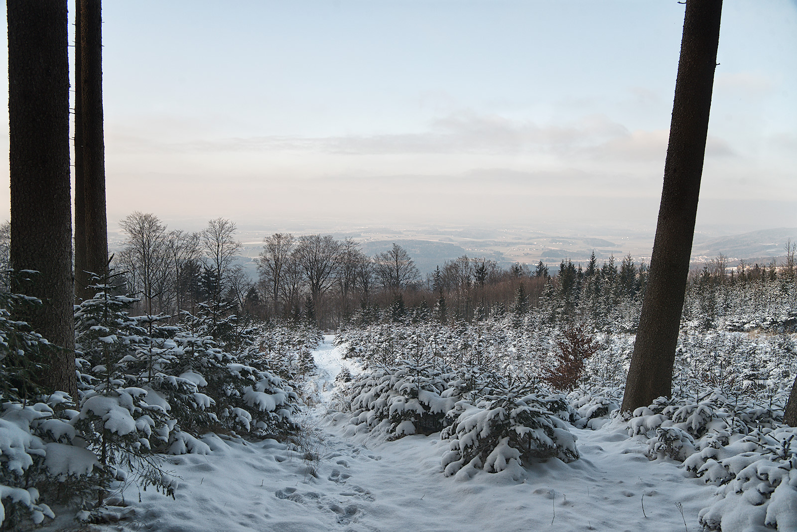 Ausblick vom Gipfel des Haunsberges nach Norden