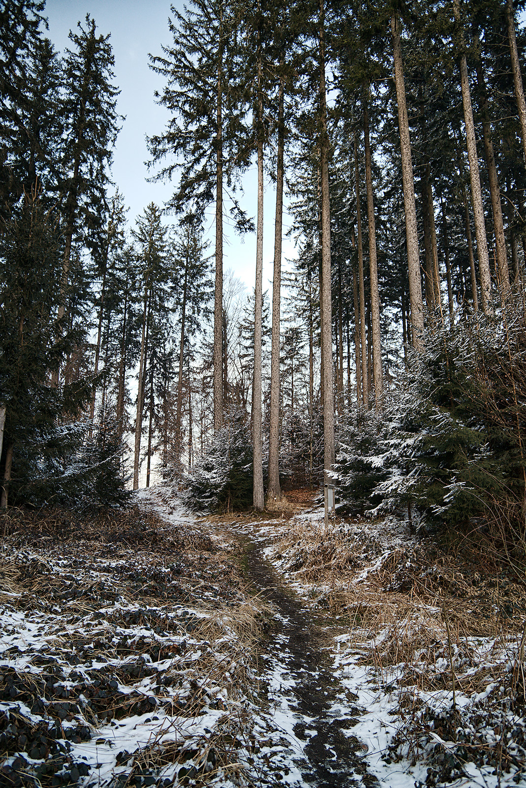 Abstieg an der Südseite am Haunsberg Panoramaweg