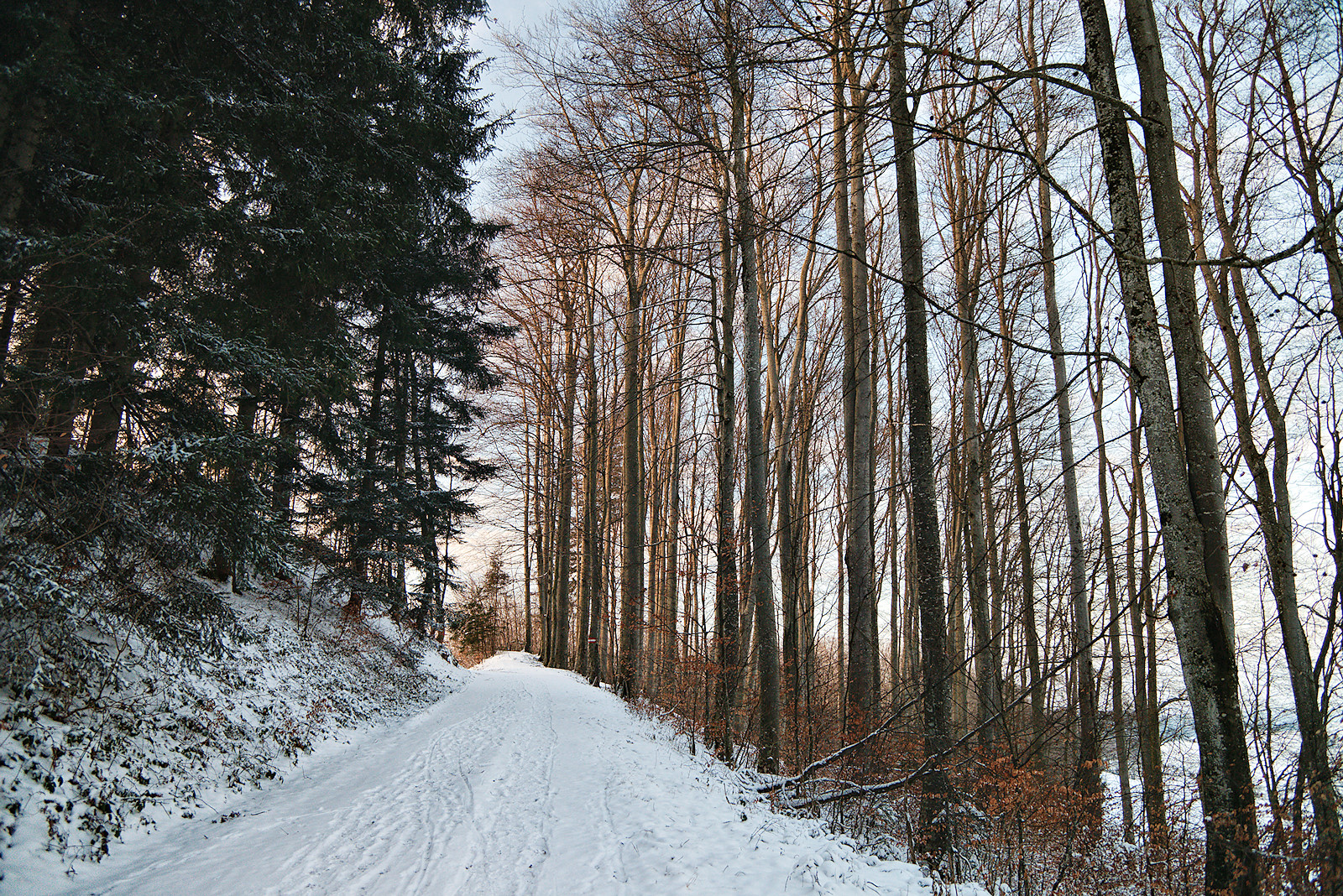 beginnendes Abendrot am Haunsberg