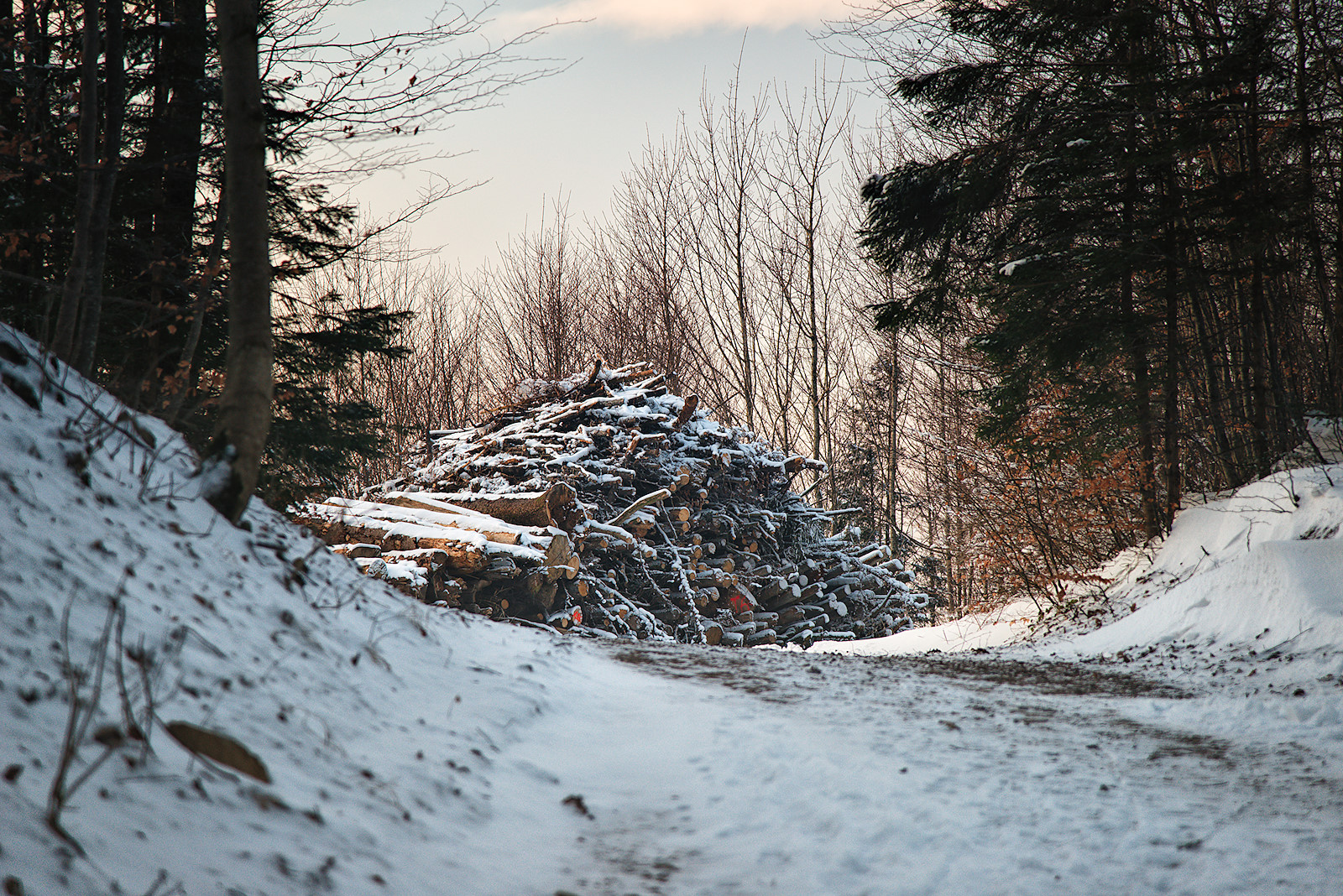 Wegkreuzung am Rücken des Haunsberges wird im beginnenden Abendrot erreicht