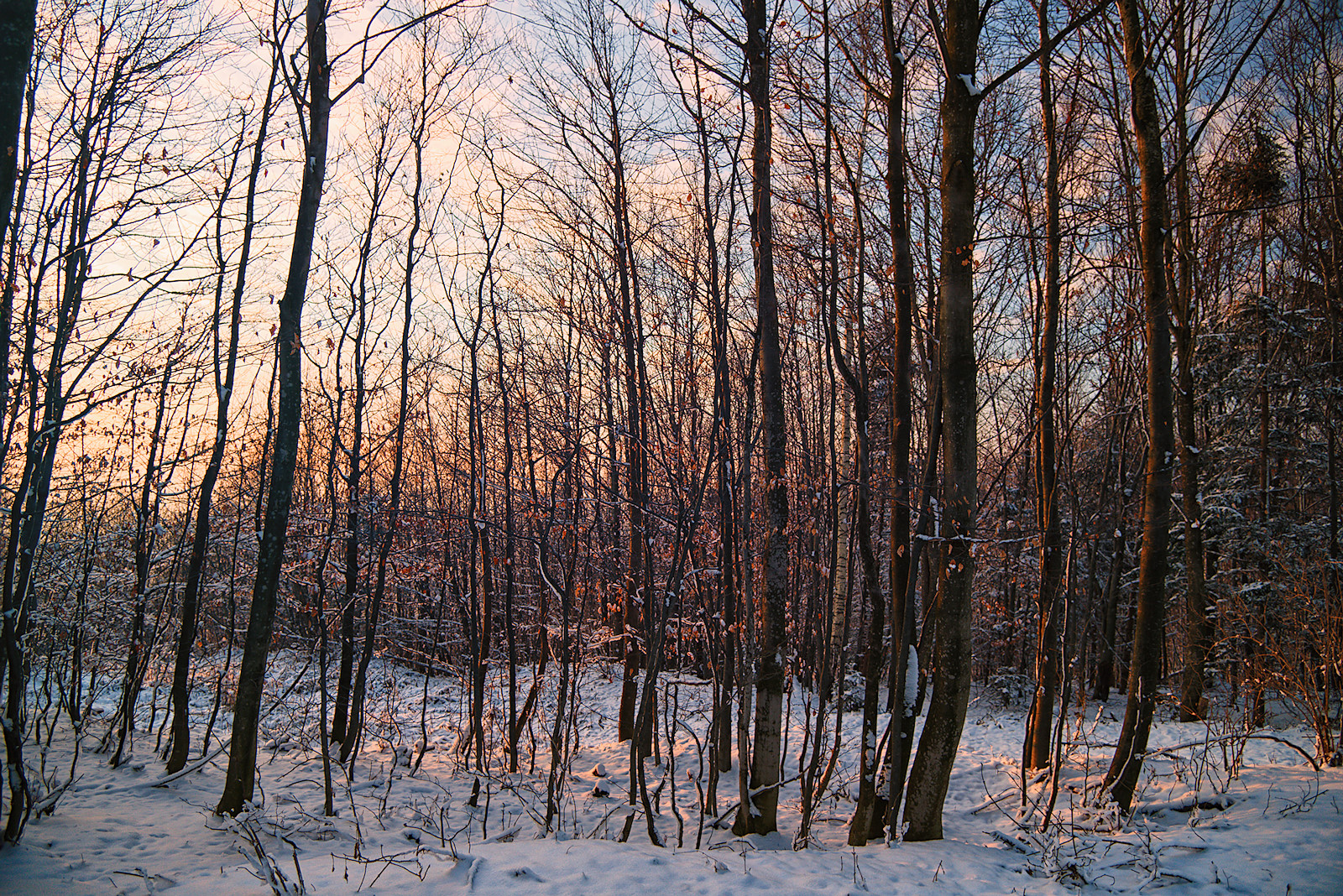 atemberaubendes Abendrot am winterlichen Haunsberg