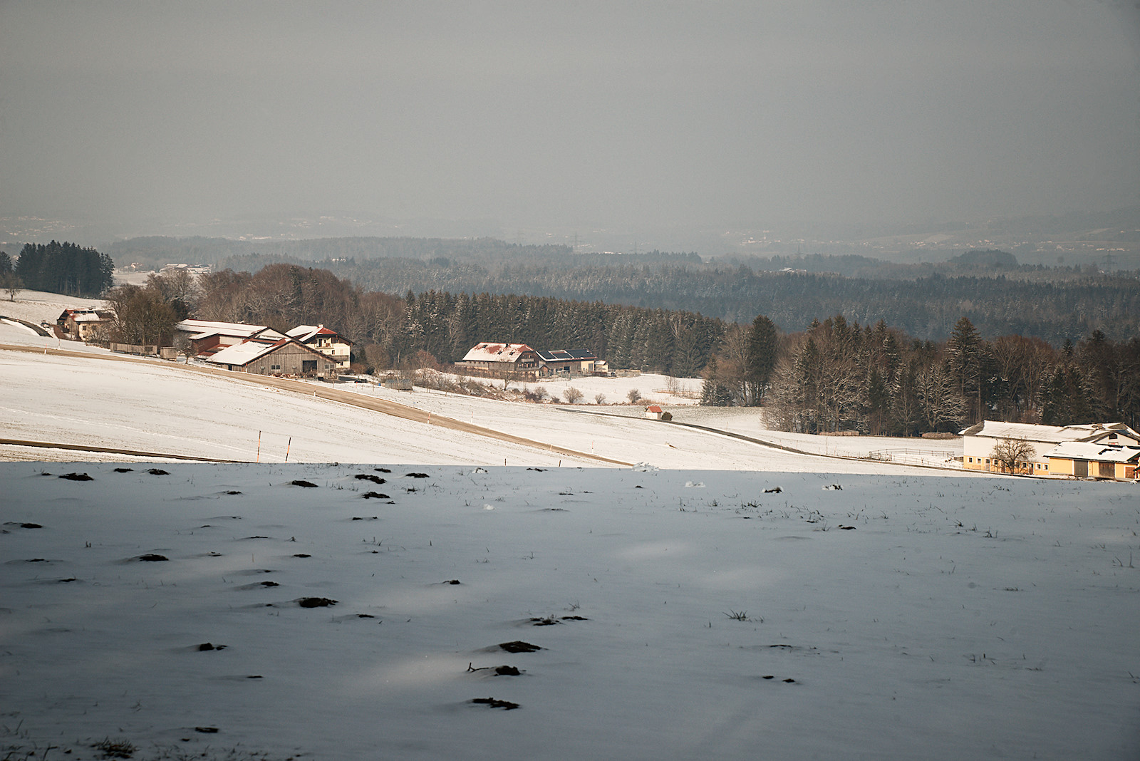 Ausblick von der Kaiserbuche am Haunsberg nach Nordosten